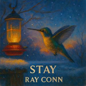 STAY