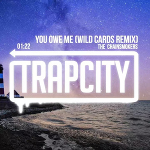 You Owe Me (Wild Cards Remix)