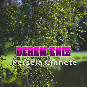 Persela Cinnetê