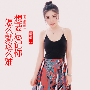 想要忘记你怎么就这么难(新版）