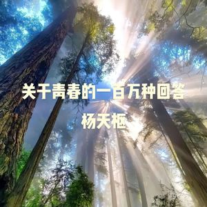 关于青春的一百万种回答