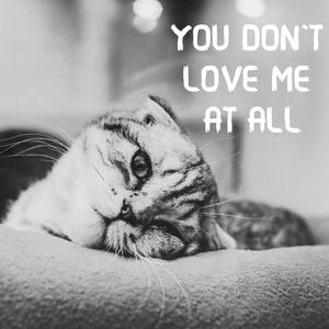 You Don't Love Me at All