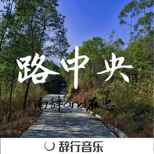 生命不息战斗不止(Perfect Mix)