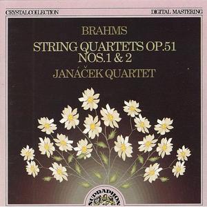 String Quartet No. 2 in A minor, Op. 51: I. Allegro non troppo
