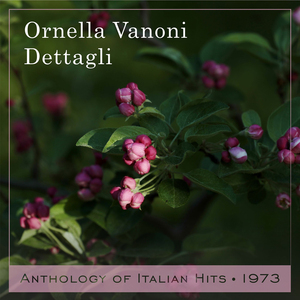 Dettagli Anthology of Italian Hits 1973