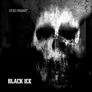 Black Ice