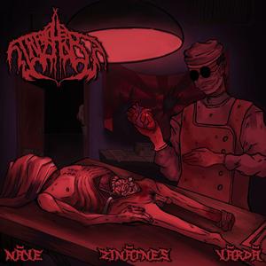 Liepājas Malkas Deficīts/ Ielu Zīdītāji