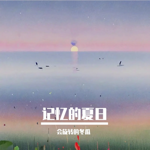 记忆的夏日