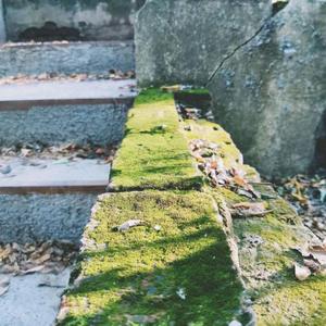 偽のソウルメイト