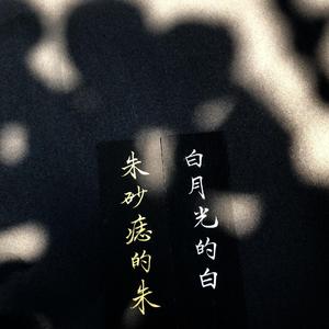白月光与朱砂痣（温柔男声）