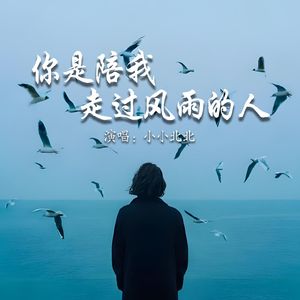 你是陪我走过风雨的人