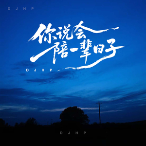 你说会陪我一辈子 (DJ版)