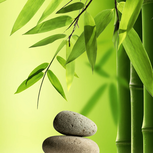 《时光链上的回忆轻语》000