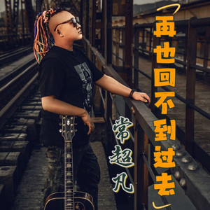 再也回不到过去 (DJ阳少版)