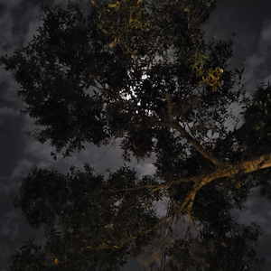 Eyes on the Prize (House Immortal) (feat. Tyler Kluesner, Vic Jimenez, Josiah Snyder & Michael Jr)