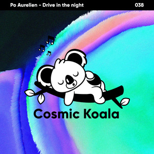 Drive in the Night
