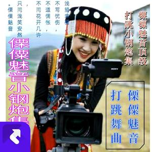 来打跳DJ小钢炮集合