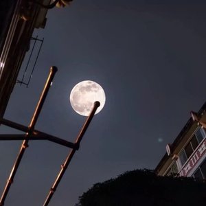 小熊维尼寻爱记