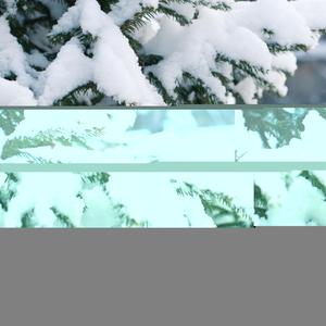 The Soul of Christmas