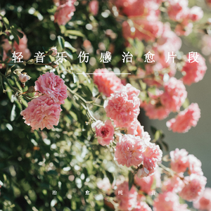 梦里遇见你 (放松纯音乐)