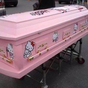 你根本不懂二刺螈