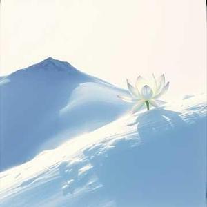 神山开着雪莲花