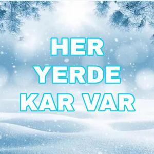 Her Yerde Kar Var
