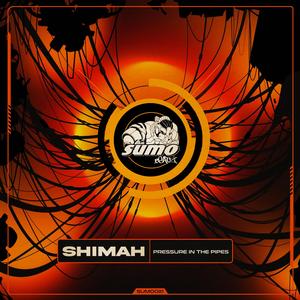 Pressure in the Pipes