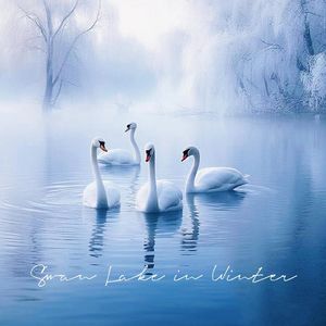 Swan Lake in Winter