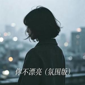 你不漂亮