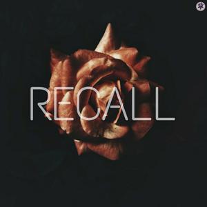 Recall