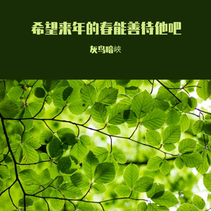 你已不在我的身边