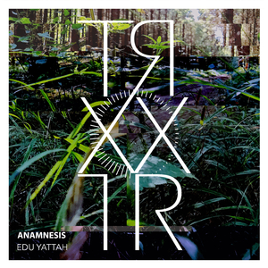 Anamnesis (Original Mix)
