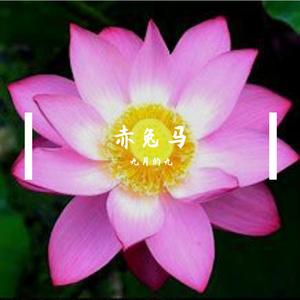 赤兔马