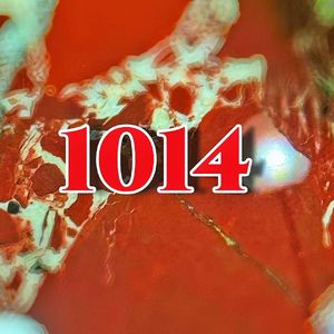 1014