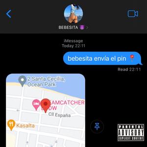 P I N (feat. FREEDOM PR, Yung Melz & Demesé)