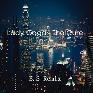 Lady Gaga - The Cure (  Remix )