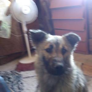 Mi Destino Es Amarte