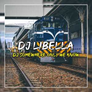 DJ Somewhere Only We Know -inst