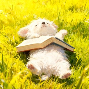 你开心话杳无音讯也是可以