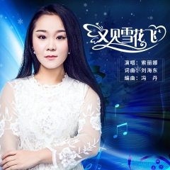 又见雪花飞 (DJ何鹏版)