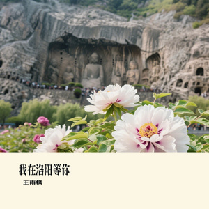 我在洛阳等你