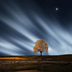 An Innocent Dawn