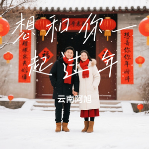 想和你一起过年