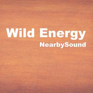 Wild Energy