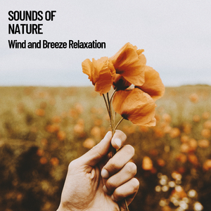 Wind Sounds