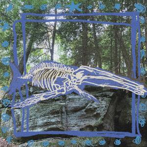 Whale Fall (other mix)