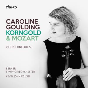 Violin Concerto in D Major, Op. 35: I. Moderato nobile