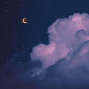 我的果汁分你一半