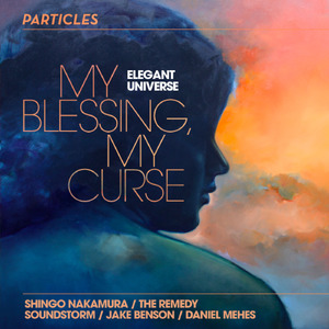 My Blessing, My Curse (Shingo Nakamura Remix)